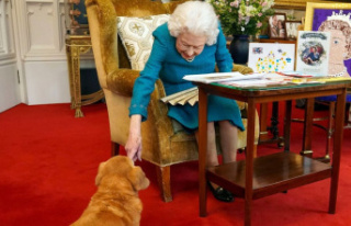 Queen Elizabeth II: Who is taking care of her dogs...