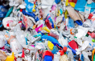 Environment: WWF wants to fight against plastic waste...
