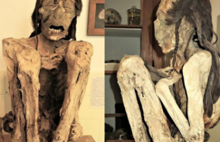Science: Mummies on CT: Researchers reconstruct centuries-old...