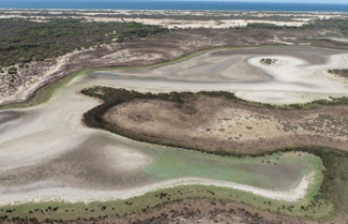 National Park: Spanish wetland Coto de Doñana has...