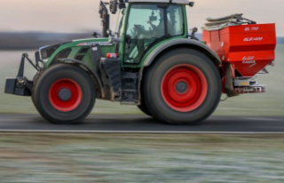 Agriculture: Farmers' association: yield slumps...
