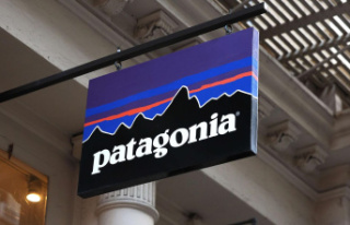 Outdoor brand: Patagonia founder donates company to...