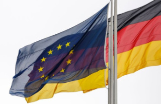 Energy: Several EU countries reject gas solidarity...
