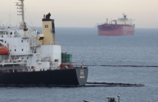 Accidents: Heavy oil escapes from a damaged freighter...