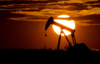 Energy: Oil alliance Opec decides to reduce production...