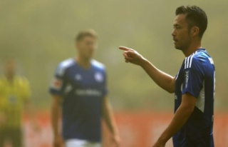 Schalke welcomes Augsburg: focus on winning or avoiding...
