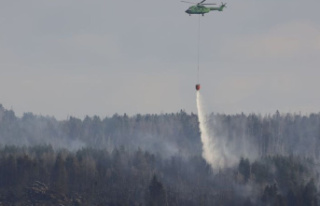 Harz: massive help from the air against a major fire...