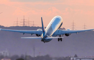 Generous Pilot: Lost passport: plane turns back to...