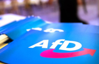 Politics: "Tails for Germany?" AfD wants...