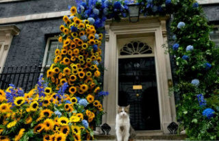 Host: Larry the Cat: The cat that the British trust