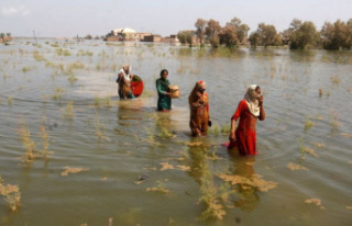 Floods: Pakistan: Millions flee new floods