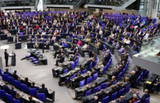 Bas wants the Bundestag to be reduced quickly, even...