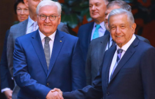 Search for energy sources: Steinmeier brings liquefied...