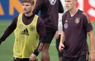 National team: Werner and efficiency: Flick gives...