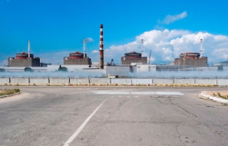 Nuclear power plant: IAEA: Ukrainian Zaporizhia nuclear...