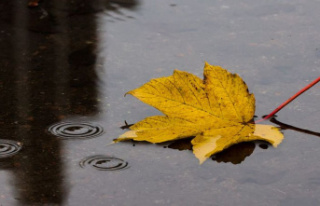 Weather: Saxony-Anhalt expects a rainy autumn day