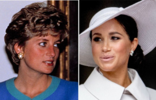 Princess Diana: She would not have been a "big...