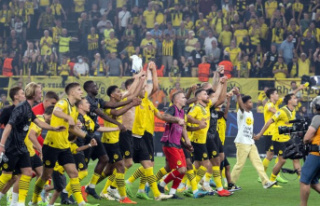 Champions League: To Haller's delight: BVB masters...