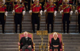 Parliament in London: the royal couple accepts condolences