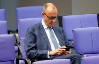 Social tourism: Friedrich Merz and the limits of provocation:...