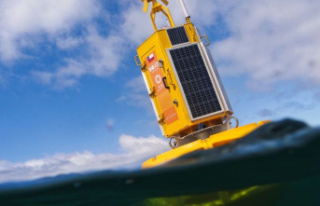 Noise in the ocean: buoys are designed to protect...