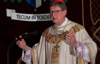 Religion: altar boy scandal at Archbishop Woelki's...