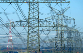 Energy crisis: Verivox: Electricity grid fees will...