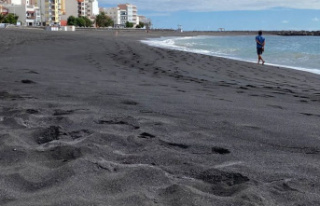 Environment: The volcanic island of La Palma attracts...