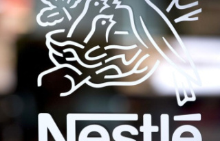Food: Nestlé increases sales sharply