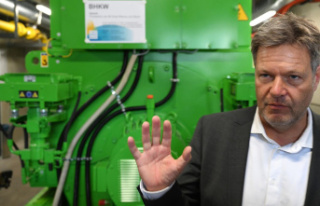 Energy costs: Habeck announces relief from electricity...