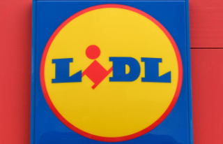 Car subscription: Lidl deal with problems: Elaris...
