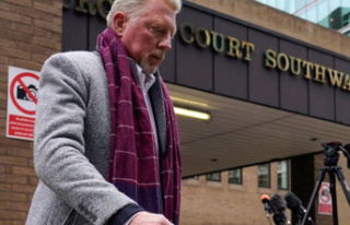 Justice: Behind bars: Boris Becker has been in prison...