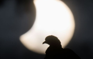 Astronomy: Partial solar eclipse clearly visible,...
