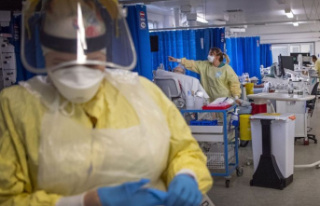 Pandemic: WHO: Global health emergency due to Corona...