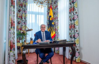Steinmeier in Biedermeier: The Federal President and...