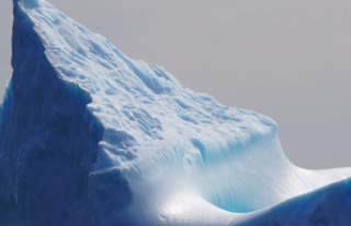 Nature conservation: Demand: Antarctic Commission...