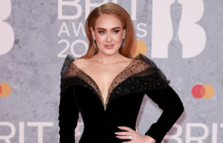 Adele: €45,000 ticket price in Las Vegas