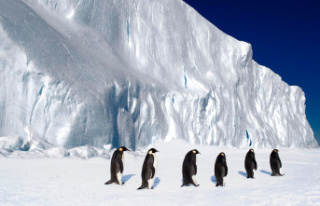 41st Antarctic Conference: "Earth's Last...