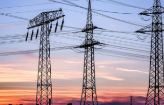 Energy crisis: Electricity price brake not implementable...