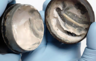 Archaeology: Britain: 2000-year-old face cream reconstructed...