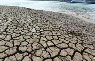 Climate catastrophe: Scientists: "The world is...