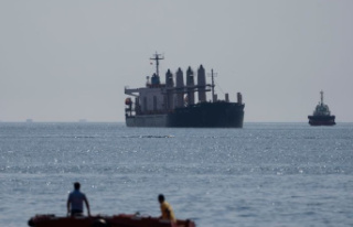 Black Sea: UN: Grain carriers to continue sailing...