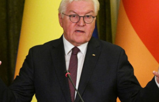 Conflicts: Steinmeier warns against too much dependence...