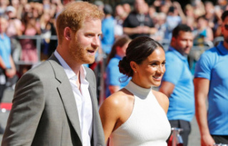 Prince Harry and Duchess Meghan: Are you planning...