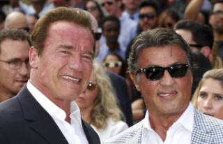 Arnold Schwarzenegger and Sylvester Stallone: ​​Terminator...