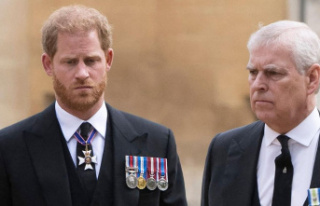 Royal plans: Prince Harry and Prince Andrew are out:...