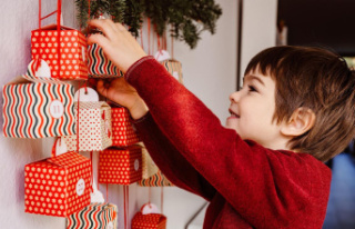 Inspiration: Advent calendar for children: 24 surprises...