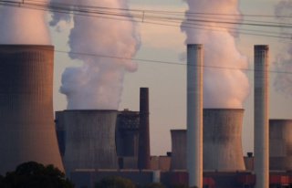 Environment: Five percent up: EU emissions increased...