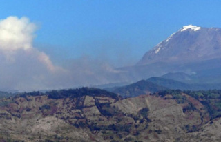 Fire: Tanzania: Fire on Mount Kilimanjaro
