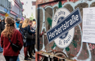 Hamburg: sex work behind screens: Herbertstrasse turns...